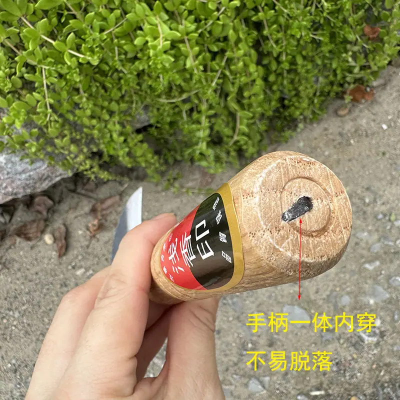 微信图片_202407172148192.jpg