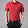 Camisa Blanca para Hombre para Primavera y Otoño, Ropa Formal de Negocios Profesional, Camisa Casual de Manga Larga Negra y Gris sin Planchar, Una Pieza Envío Directo