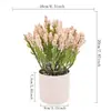 Arreglo floral para decoración del hogar, adorno de maceta de cerámica para mesa de comedor, decoración de flor artificial de lavanda estilo Ins para sala de estar