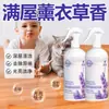 Limpiador de Suelos Lavanda al por Mayor Azulejo Madera Piso Limpiador Líquido para Fregar Secado Rápido Antibacterial Abrillantador
