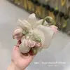 Goma para el pelo scrunchie de hilo perlado de tulipán de moda 2026 para mujer, Lazo para el pelo para moño, Accesorio para el pelo suave y dulce
