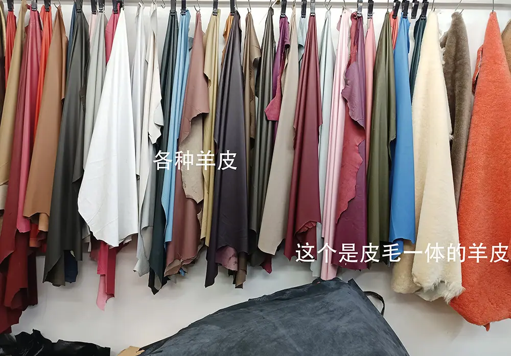 微信图片_20250905123749_864_7