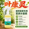 Ye Kang Ling Spray de Solución Nutritiva para Plantas Flor de Rosa Plagas y Enfermedades Medicina Común Camelia Osmanthus Enfermedad de la Hoja Amarilla Medicina Especial BA