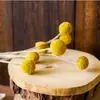 Casca de fruta faça você mesmo, pinha, lascas de madeira, folhas, flores secas, combinação de frutas secas, decoração de natal, decoração de jardim de infância, adereços retrô
