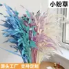 Pensamientos Pequeños Blanqueados, Flores Eternas, Flores Secas, Materiales de Flores para Manualidades, Flores Preservadas, Ramos, Flores Reales, Decoración del Hogar, Flores Hechas a Mano