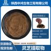 Extrato de Ganoderma Lucidum Polissacarídeo de Ganoderma Lucidum Esporângio Micélio Extrato de Polissacarídeo em Pó Estoque Pronto Frete Grátis