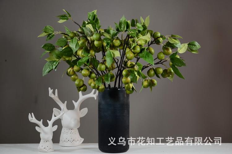 3-12绿色欧罗梨子.JPG