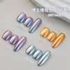 Celebridade da Internet Flash Super Brilhante Galvanizado Seda Fada Pó Lunar Aurora Pó Espelho Prateado Pó Espelho Mágico Acessórios para Nail Art
