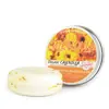 Jabón de Jengibre para Cabello, Barra de Champú, Champú de Polygonum Multiflorum, Jabón de Cúrcuma y Cedro