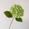 Alta simulación gran hortensia profundidad múltiples colores para hacer pared de propuesta más realista verano sin fin hortensia impresión 3D