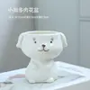 Comercio Exterior Macetas de Cerámica para Suculentas al por Mayor Animales de Dibujos Animados Decoraciones para Interiores y Balcones Macetas de Dibujos Animados