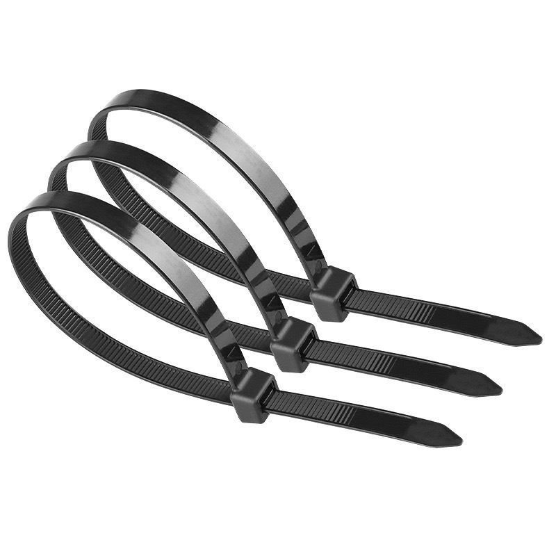 微信图片_20241028085921