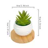 Plantas suculentas artificiales, bonsáis pequeños, decoraciones de plantas verdes, plantas en maceta mini de escritorio para micro paisajismo, juegos de adornos pequeños al por mayor