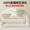 Colcha antibacteriana Classe A 100% algodão puro de algodão de Xinjiang, enchimento de colcha de inverno, colcha para primavera e outono de dormitório estudantil, adequada para todas as estações