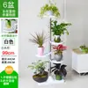 Estante de Flores de Acero Inoxidable de Piso a Techo para Suculentas en Repisa de Ventana Saliente, Estante de Almacenamiento Ahorrador de Espacio para Balcón de Casa, Adecuado para Colgar Potos
