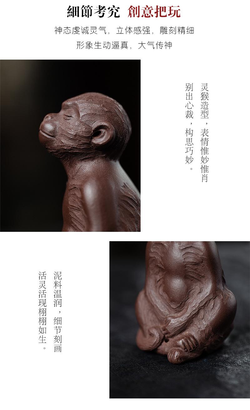 悟道灵猴20210924 (19).jpg