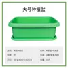 Maceta Grande para Verduras de Balcón Cebollín Cilantro Cebollín Pequeño Caja de Plantación Interior Maceta Grande Rectangular Gruesa de Plástico para Flores