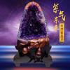 Ametista Natural Uruguai Cristal Caverna Brasil Bolsa de Dinheiro Escritório Sala de Estar Enfeites Pedra Original Mini Ametista Cluster