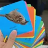 Cartões de Reconhecimento de Imagem Resistentes a Rasgos para Bebês e Crianças, Caracteres Chineses com Pinyin Frente e Verso, Números, Animais, Cartões Cognitivos de Educação Infantil