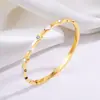 Pulsera de Acero de Titanio Corazón con Goteo de Aceite Cuatro Pedrerías Pulsera de Acero Inoxidable para Niñas Moda Europea y Americana de Gama Alta Pulsera Versátil