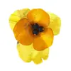 Nueva colección de broches de flor de acrílico con diseño vintage, borlas de camelia, accesorios para mujer, joyería transfronteriza al por mayor