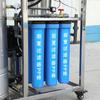 Grande equipamento de purificação de água por osmose reversa RO 0,25 toneladas tanque de pressão máquina de água pura equipamento de tratamento direto de água potável deionizada