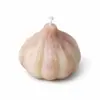 Velas aromáticas em formato de frutas e vegetais artificiais, abóbora, milho, alho, ornamentos vegetais, fragrância OEM, feitas sob medida para o Festival Qixi, transfronteiriço