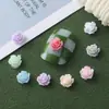 Pedras Strass para Unhas Flor Rosa Tinta Pérola Pétalas Brancas Aurora Tamanho Camélia Temperamento Decoração de Unhas em Resina Mistura