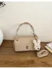 Bolsa Vintage com Padrão de Lichia para Mulheres, Nova Bolsa de Ombro de Alta Qualidade Estilo Executivo, Bolsa Transversal, Bolsa de Mão