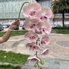 Nuevos fabricantes de phalaenopsis rosa con tacto de algodón de silicona 9 tacto phalaenopsis de Taiwán bodas hogar flores artificiales