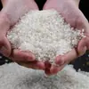 Arroz del Noreste 25 Años Arroz Nuevo Empacado al Vacío 10 Jin por Bolsa Arroz de Campo de Cangrejo Panjin Paquete de 5 Jin Arroz Perla Gran Mayorista del Noreste