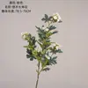 Qihuo Flores da Longevidade Atacado Decoração de Casamento Artesanato Estilo Ins Transfronteiriço Fabricante de Flores Artificiais Flores Artificiais Plantas Verdes