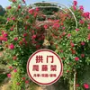 Suporte de Flores em Arco Aço Inoxidável Estrutura de Treliça Suporte para Rosas Uvas Jardim Varanda Arco de Flores Externo Diâmetro do Tubo Espessado