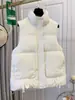 Colete de Moda 2025 Lightning Warehouse para Mulheres, Roupa Externa para Outono e Inverno, Nova Jaqueta Colete Curta Engrossada Tendência