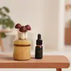 Hongo de Madera Aceite Esencial Madera Fragante Expansible Adornos para el Hogar Difusor de Regalo Serie Curativa Regalo Navideño Original Moderno Juego