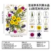 Plantas de Hojas Muestras Jardín de Infancia Pegatinas Hechas a Mano DIY Flores Secas Flores Prensadas Marco de Fotos Kit de Materiales para Marcapáginas de Resina
