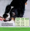 Suplemento Probiótico para Mascotas Tk Transfronterizo Más Vendido Tabletas Blandas Masticables Soporte Oe Holding m Fábrica Fuente