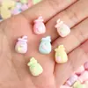Juguetes de Comida en Miniatura Yqt Botellas Mini Macarrón Accesorios de Resina de Moda Juguetes de Peluche Accesorios de Ropa para Muñecas