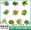 Venda Quente Transfronteiriça Cabeça de Flor Suculenta Simulada DIY Planta Flor Artificial Criativa Estilosa Planta Verde Decoração de Casa Fabricante da Fonte