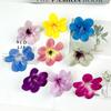 High-end simulação orquídea mobília cabeça de orquídea com mão presente sala de estar sala de jantar decoração de flores falsas diy adereços de fotografia FLORAL