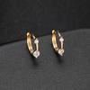 Brincos franceses Cross-border High-grade Brincos de zircão Brincos redondos banhados a cobre 14K Brincos de ouro Brincos femininos
