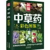 Identificación de Campo de Hierbas Medicinales con Ilustraciones Coloridas, Identificación Fácil de Hierbas Medicinales Chinas de Uso Común, Plantas Originales, Libro de Salud de Medicina Tradicional China