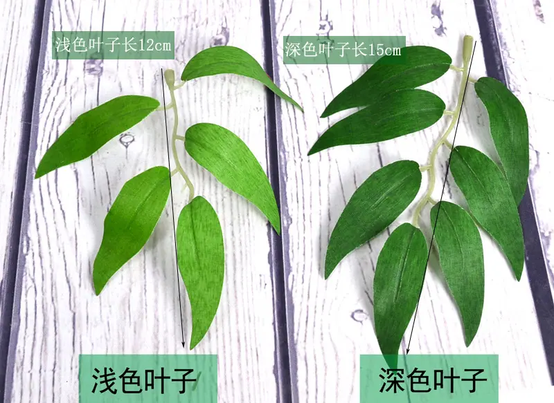 叶子尺寸图.jpg