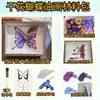 Kit de Material DIY de Borboleta de Flor Seca Dedicado a Lembranças para Meninos e Meninas, Espécime de Flor Eterna Presente de Aniversário