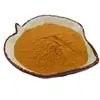 Extracto de Semilla de Apio, Polvo de Semilla de Apio, Polvo de Materia Prima de Grado Alimenticio, Fabricante de Bio-Extractos Feida