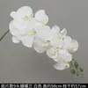 Flores de Orquídea Realistas de 38 pulgadas de Amazon para Fondos de Boda y Decoraciones Florales Orquídeas Artificiales
