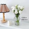 Vaso Transparente Simples Estilo Nórdico Ins Feng Shui Flores Vaso de Vidro para Decoração de Sala de Estar Decoração de Celebridade da Internet