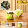 Venta al por mayor Casa del Sol Plantación Juego de Experimentos Científicos Pequeños para Niños Observación del Crecimiento de Plantas Fruta Verdura Flor Juguete Regalo