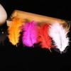 Celebridade da Internet Cauda Pontiaguda Veludo Penas Penas de Peru DIY Brincos Colar Acessórios de Joalheria Pequenas Penas Fabricante Atacado