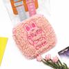 Bolsa de Higiene Femenina de Felpa Estilo Nuevo Japonés Linda de Dibujos Animados Bolsa de Almacenamiento para Compresas Bolsita Bordada para Compresas